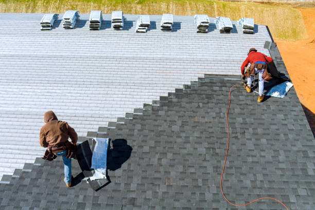 Best Metal Roofing Contractor  in Paden City, WV