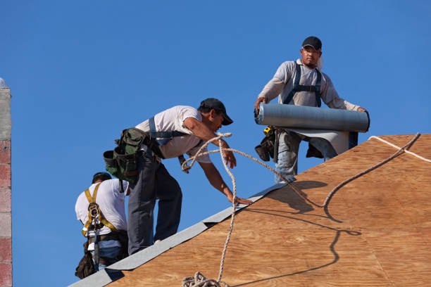 Best Roof Gutter Cleaning  in Paden City, WV