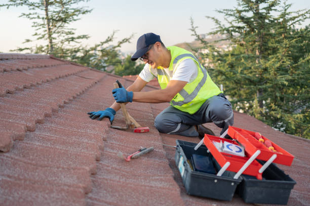 Best Local Roofing Companies  in Paden City, WV