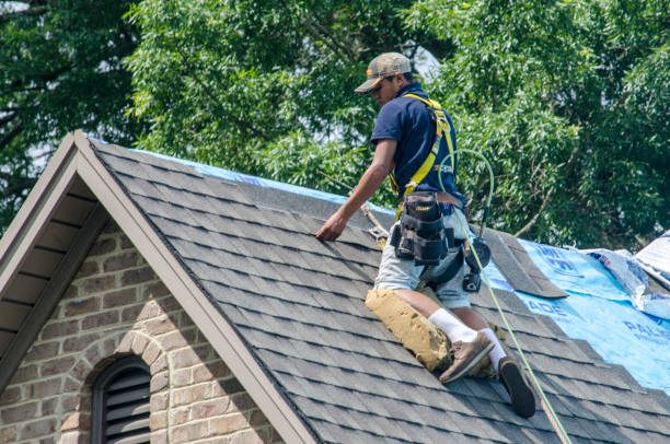 Professional Roofing Contractor in Paden City, WV